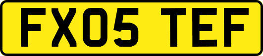 FX05TEF