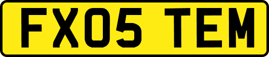 FX05TEM