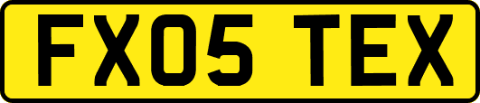 FX05TEX