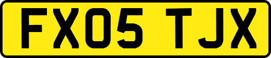 FX05TJX