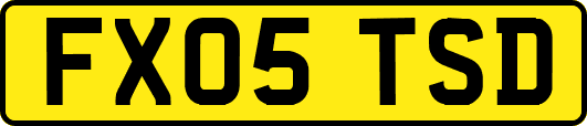 FX05TSD