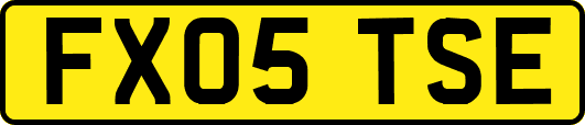 FX05TSE