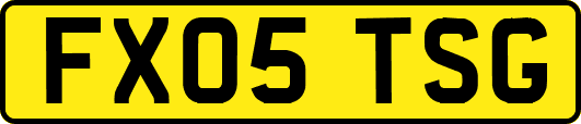 FX05TSG