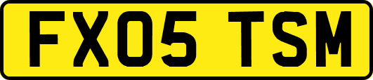 FX05TSM