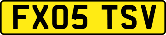 FX05TSV