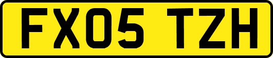 FX05TZH