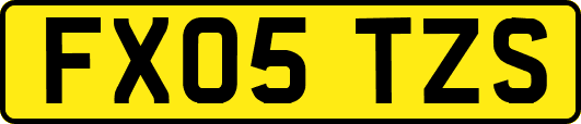 FX05TZS