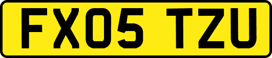 FX05TZU
