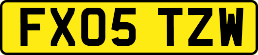FX05TZW