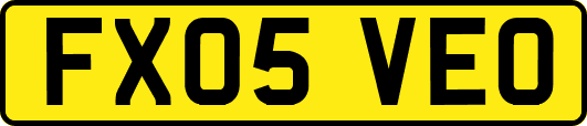 FX05VEO