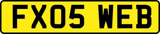 FX05WEB