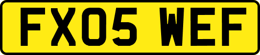 FX05WEF