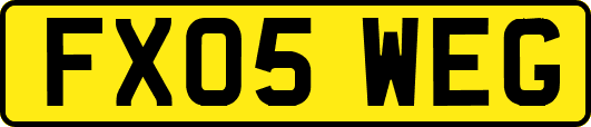 FX05WEG