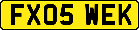 FX05WEK