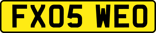 FX05WEO
