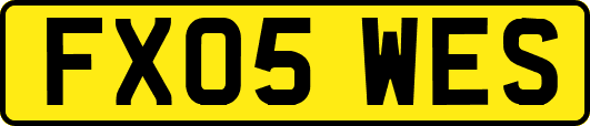 FX05WES