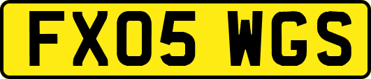 FX05WGS