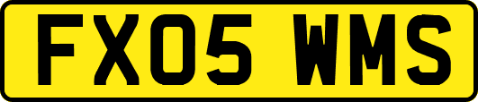 FX05WMS