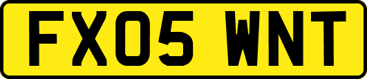 FX05WNT