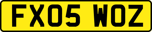 FX05WOZ