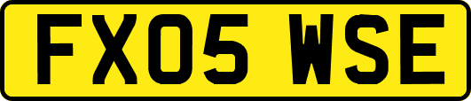 FX05WSE