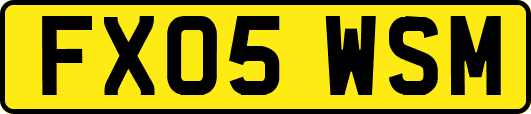 FX05WSM