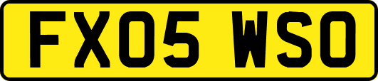 FX05WSO