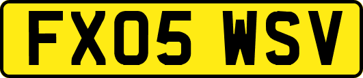 FX05WSV