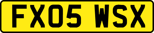 FX05WSX