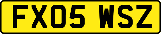 FX05WSZ