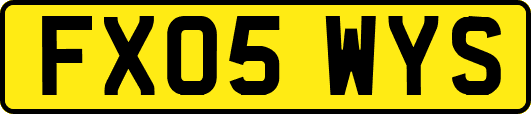 FX05WYS