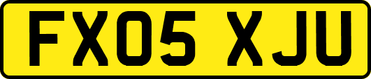 FX05XJU