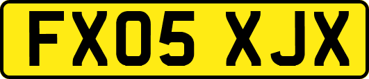 FX05XJX