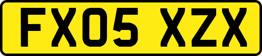 FX05XZX