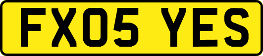 FX05YES