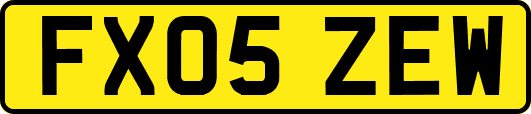FX05ZEW