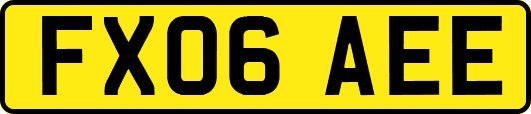 FX06AEE