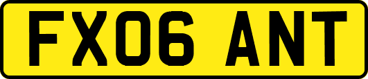FX06ANT