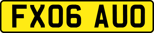 FX06AUO