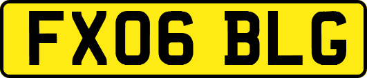 FX06BLG