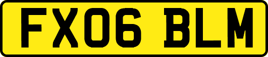 FX06BLM