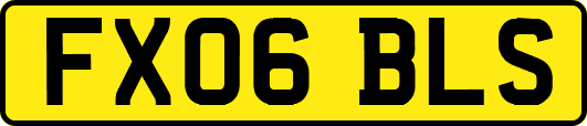 FX06BLS