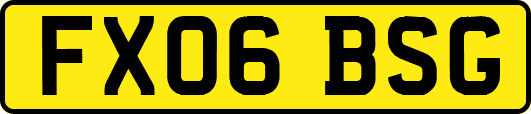 FX06BSG
