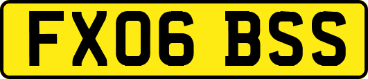 FX06BSS
