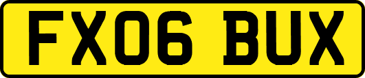 FX06BUX