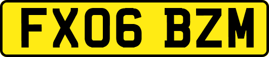 FX06BZM