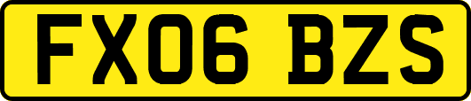FX06BZS