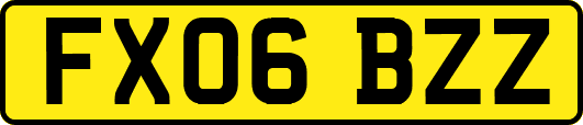 FX06BZZ