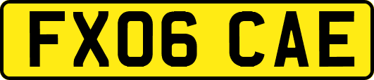 FX06CAE