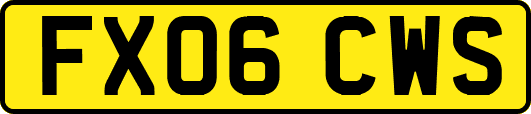 FX06CWS